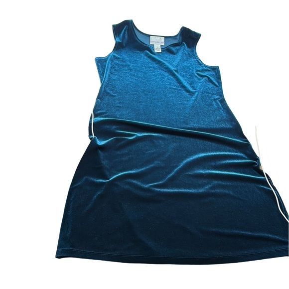Elegant Queen Blue Sleeveless Stretch‎ Velvet Dress by Susan Graver - Picture 1 of 10